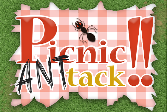 Picnic ANTtack!!